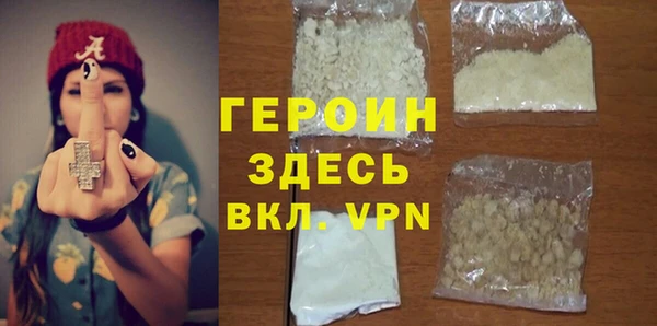 индика Гусев