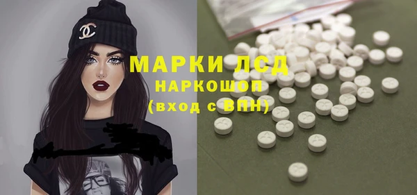 индика Гусев