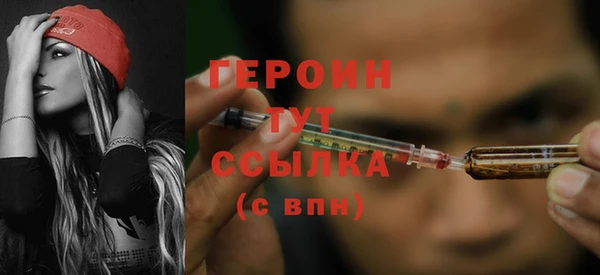 индика Горно-Алтайск