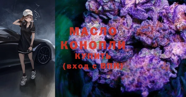 индика Гусев