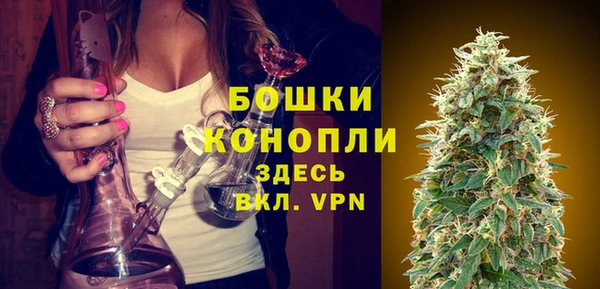 мяу мяу кристалл Гусь-Хрустальный