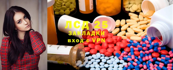 индика Гусев