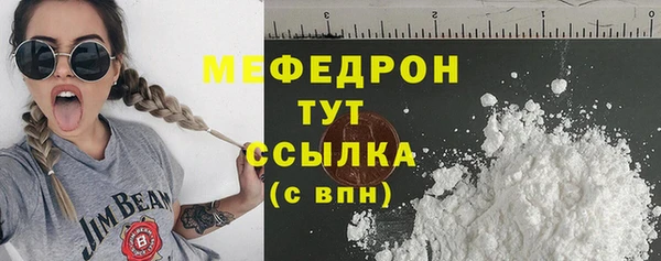 индика Гусев