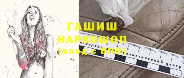 индика Гусев