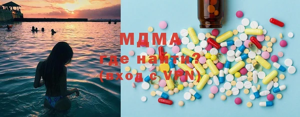 индика Гусев