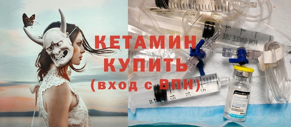 индика Гусев