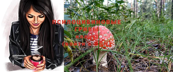 кокс Гусиноозёрск