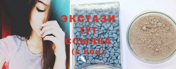 индика Гусев