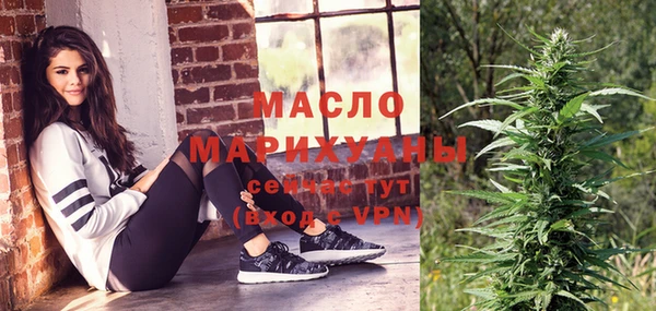 индика Гусев