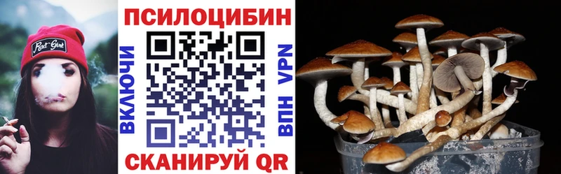 нарко площадка официальный сайт  продажа наркотиков  Елабуга  Псилоцибиновые грибы Cubensis 