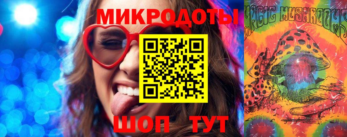 Галлюциногенные грибы Psilocybe Елабуга