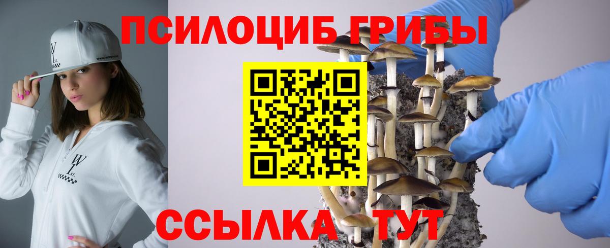 как найти наркотики  Псилоцибиновые грибы Magic Shrooms  Вход с VPN  Елабуга  Псилоцибиновые грибы GOLDEN TEACHER 