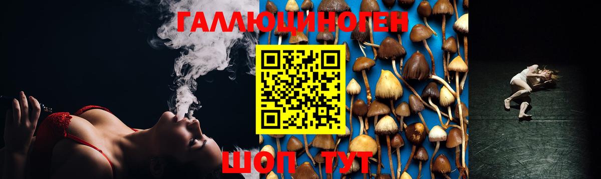 Галлюциногенные грибы MAGIC MUSHROOMS Елабуга