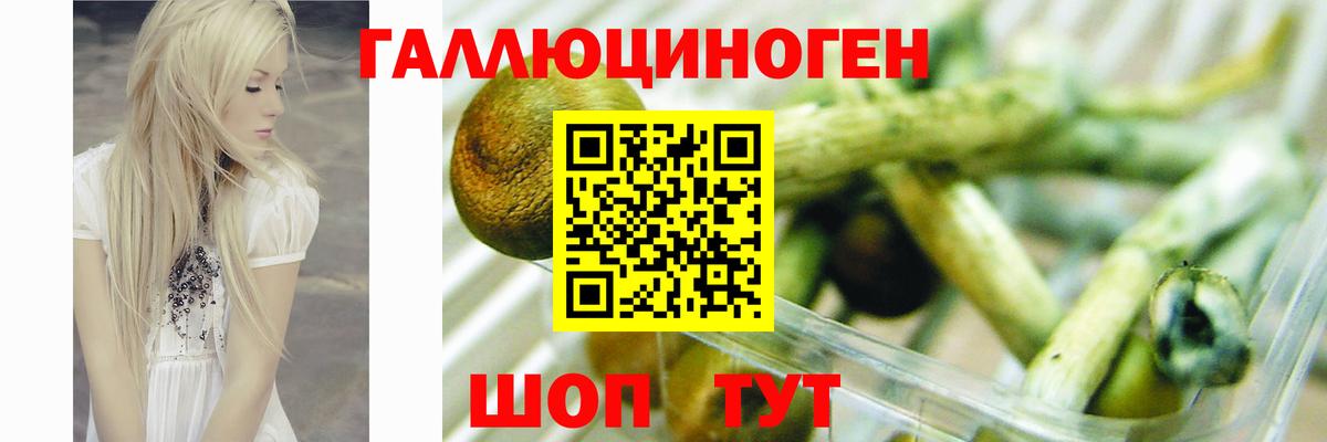 МДМА Елабуга