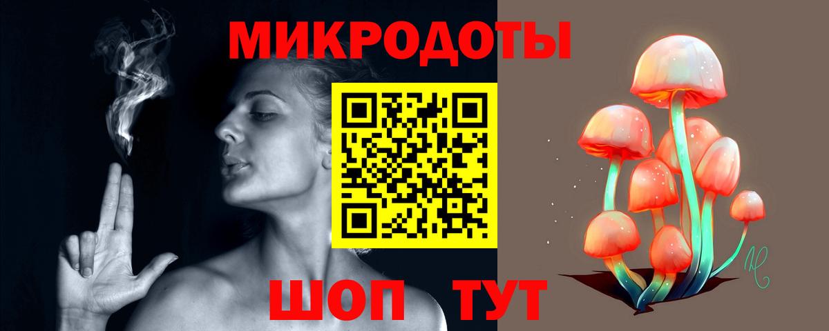 Галлюциногенные грибы Psilocybe  Елабуга  Псилоцибиновые грибы Psilocybine cubensis 