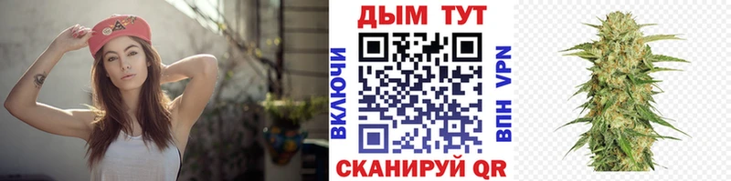 Бошки Шишки гибрид  наркотики  Елабуга 
